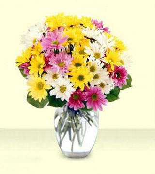 FTD's Mixed Daisy Bouquet