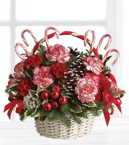 Candy Cane Christmas