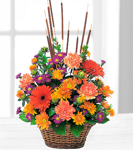 Teleflora's Fall Splendour