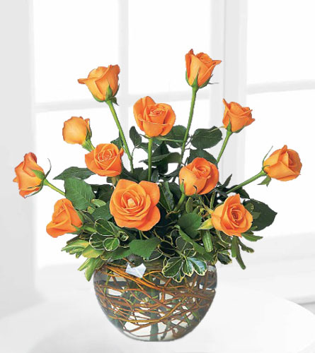 A Dozen Orange Roses